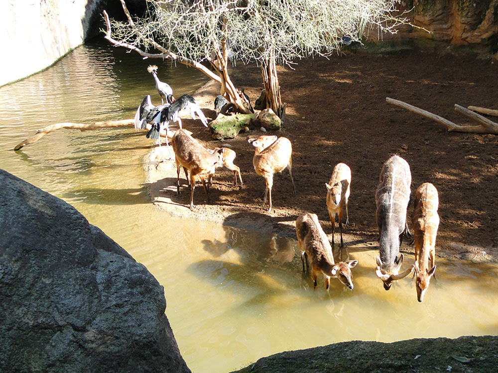 Bio Park Fuengirola
