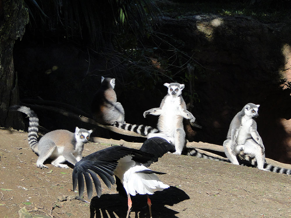 Bio Park Fuengirola